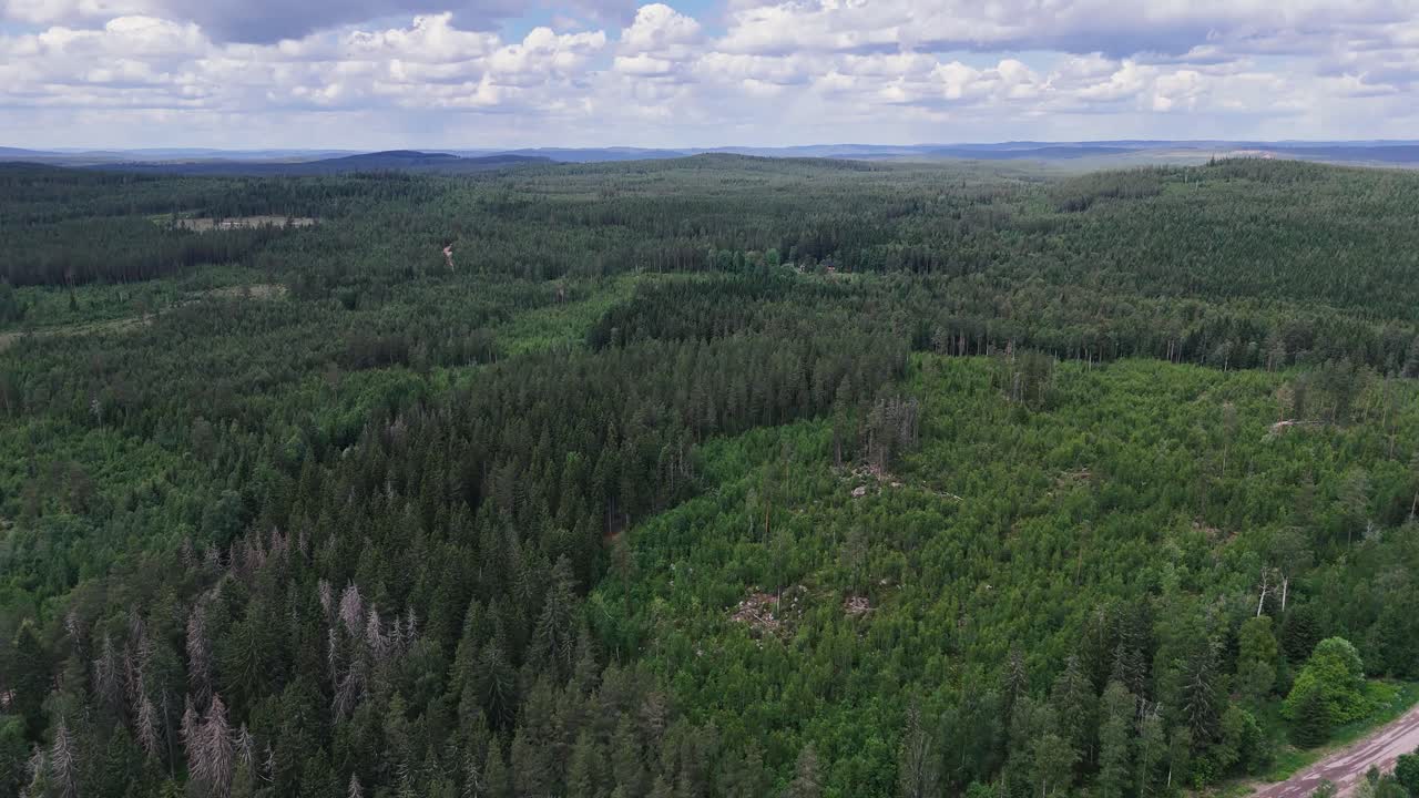 Lush green forests of Sweden under a partly cloudy sky with a scenic aerial view