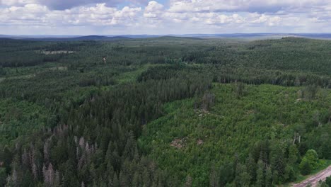 Exuberantes-Bosques-Verdes-De-Suecia-Bajo-Un-Cielo-Parcialmente-Nublado-Con-Una-Vista-Aérea-Panorámica.