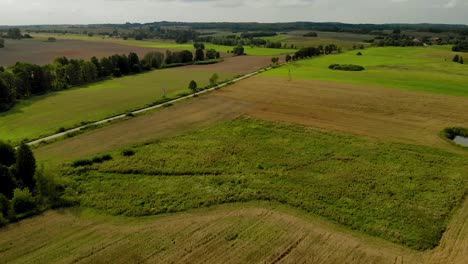 Aerial-footage-over-village-space,-beautiful-green-field,-fresh-grass-and-natural-landscape,-Eastern-Poland,-magical-sky-and-high-trees-on-horizontal