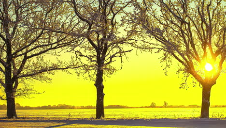 luz amarilla brillante del sol en un paisaje nevado, cronometraje del amanecer en invierno