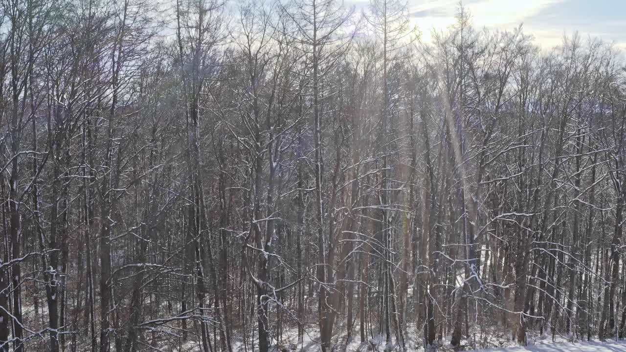 나무 뒤에서 촬영한 드론이 부드럽게 위로 날아가서 배경 알프스 산맥에 있는 수도원이 있는 아름다운 눈 덮인 풍경을 공개합니다.