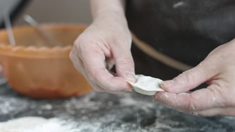 two hands making meat dumplings.