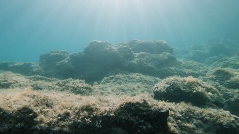 floating underwater between two rocks in a seabed with fish and sun rays