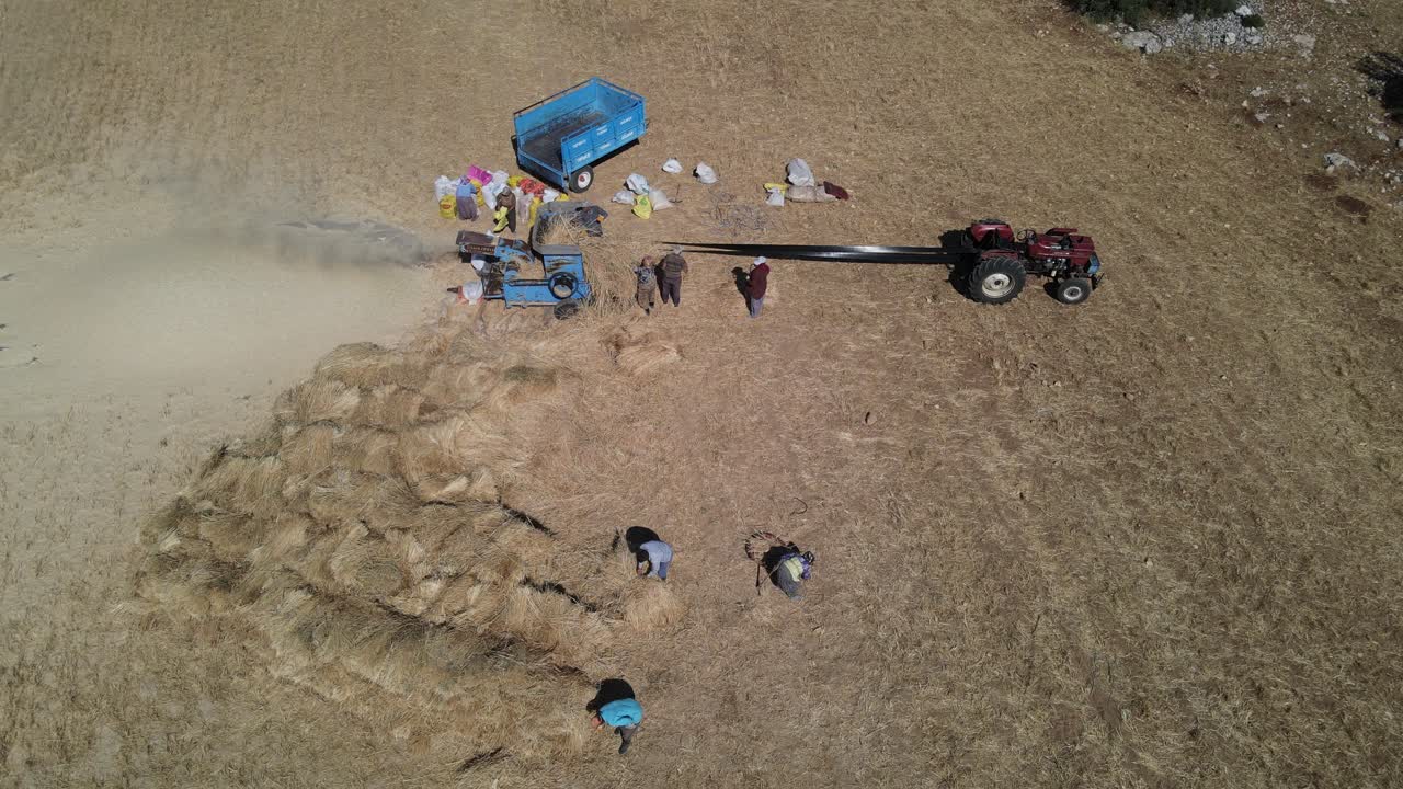 전통적인 수확 노동자 들