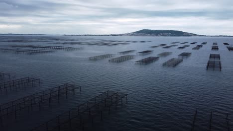 etang de thau: harvest and sale of oysters, mussels and clams in the french province of occitania near the city sète