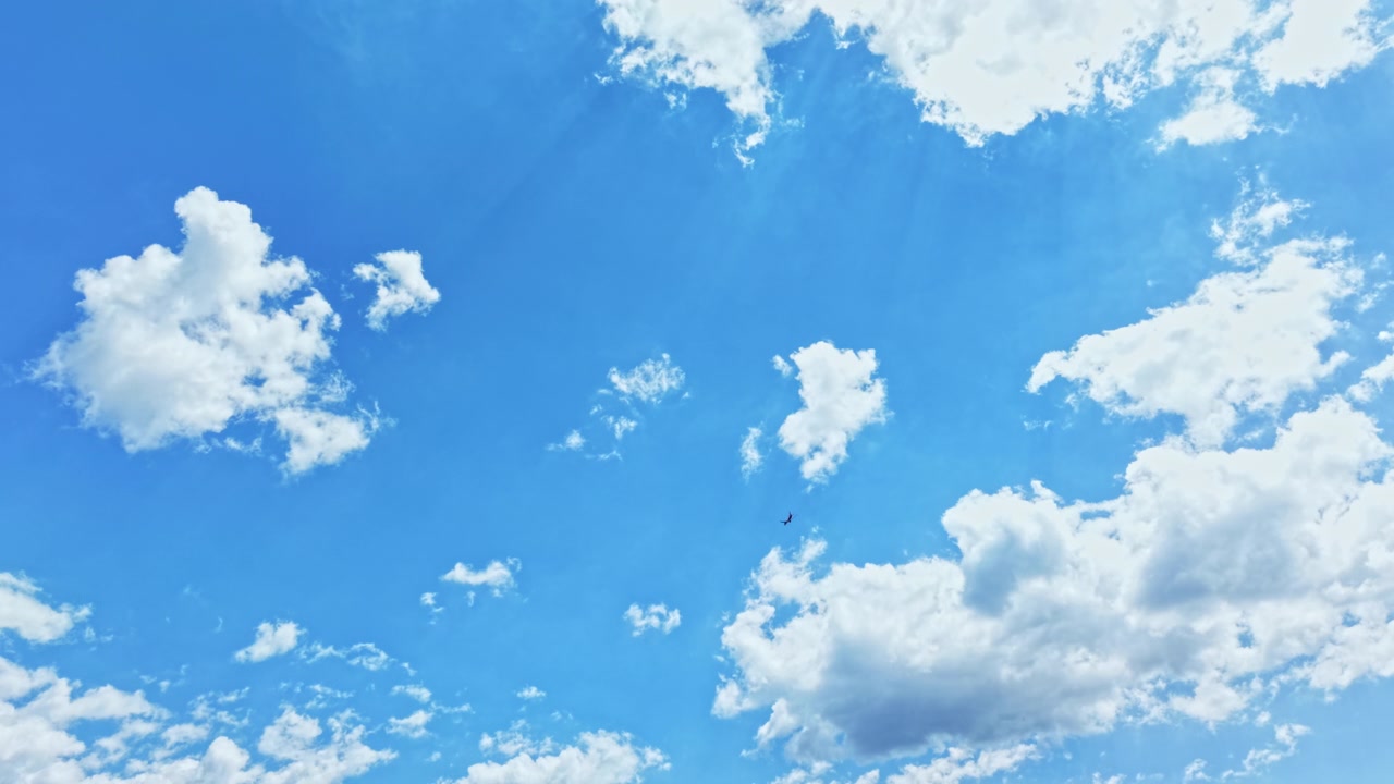 ふわふわの雲が浮かぶ青空、差し込む太陽の光、漂う一羽の鳥のシルエット。明るい夏の雰囲気は、背景、自然、旅行、ウェルネスプロジェクトに最適です。