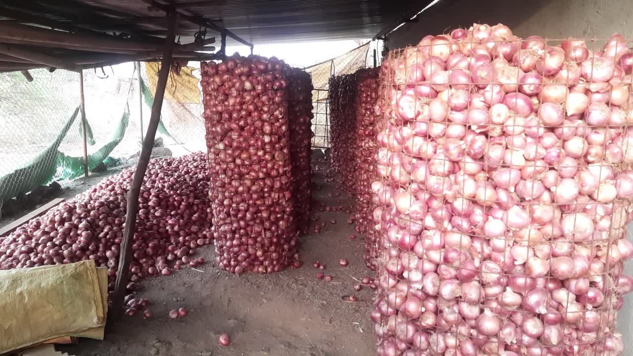 The interior of an onion warehouse with netting and sacks. Red onions Shallots in the Thai market. Onions in red plastic mesh sacks and bags