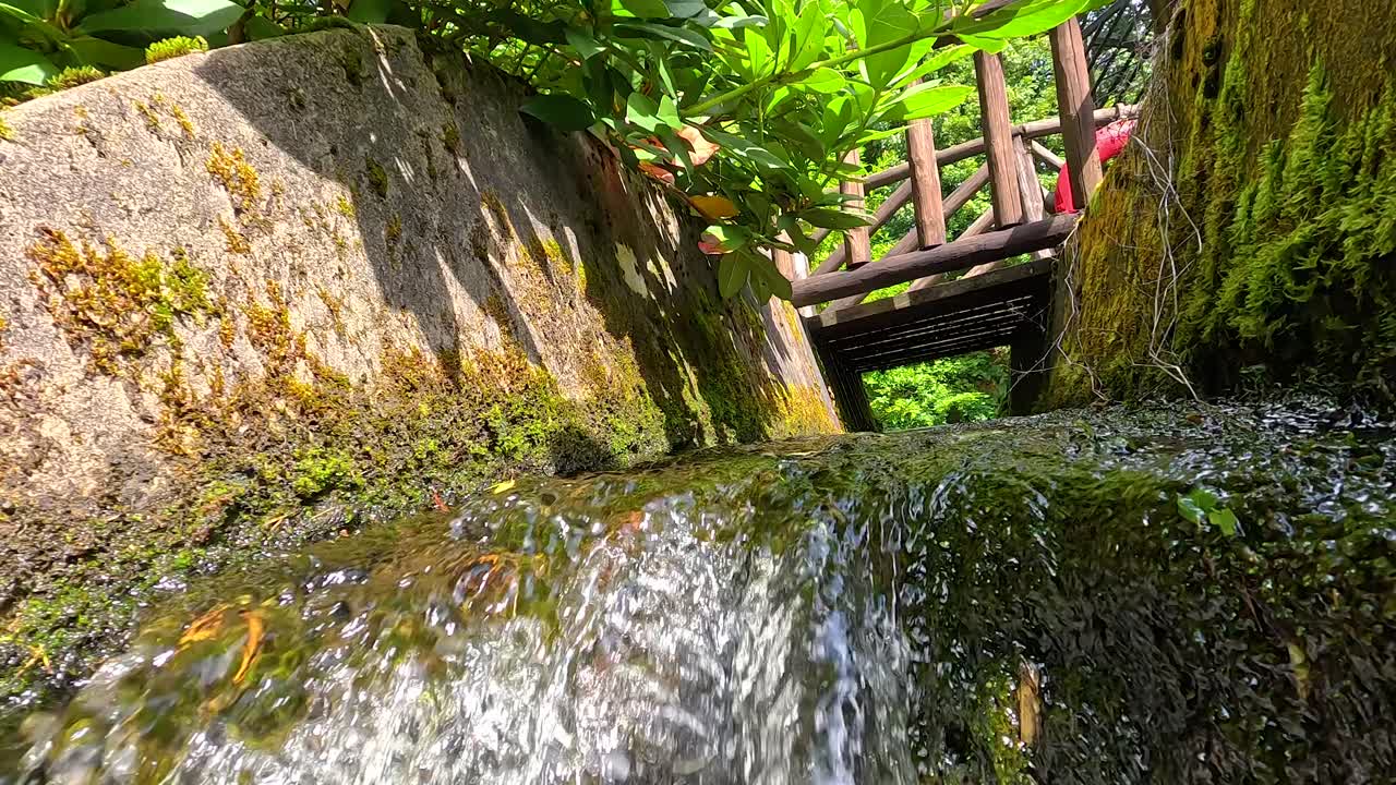 모스 돌 채널을 통해 흐르는 물