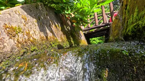 flowing water through mossy stone channel