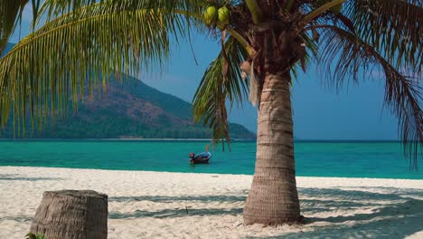 a beautiful 4k uhd cinemagraph of a tropic seaside beach at perhentian island, malaysia with a huge palm tree and a traditional long tail boat