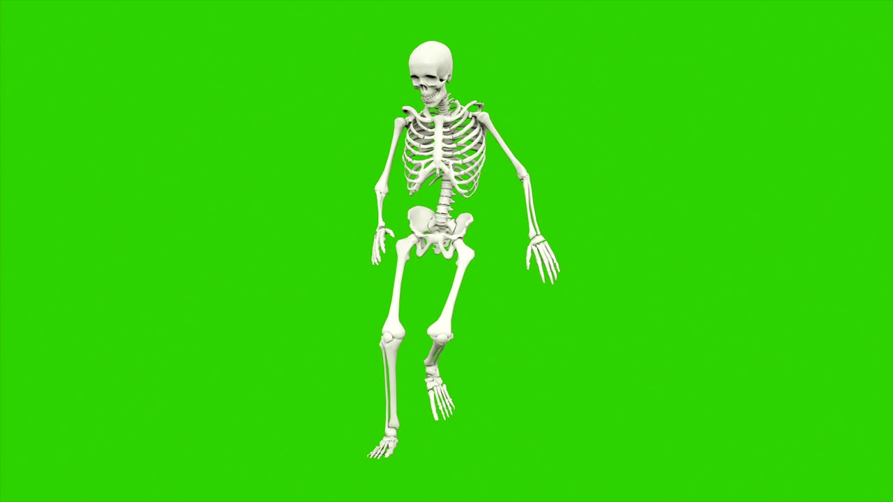 danza dello scheletro. animazione a loop senza soluzione di continuità sullo schermo verde.