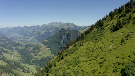 Typical-Scenery-In-The-Swiss-Alps-With-Lush-Green-Fields-And-Fir-Tree-Forests,-Canton-Of-Vaud-In-Switzerland-During-Summer---aerial-drone