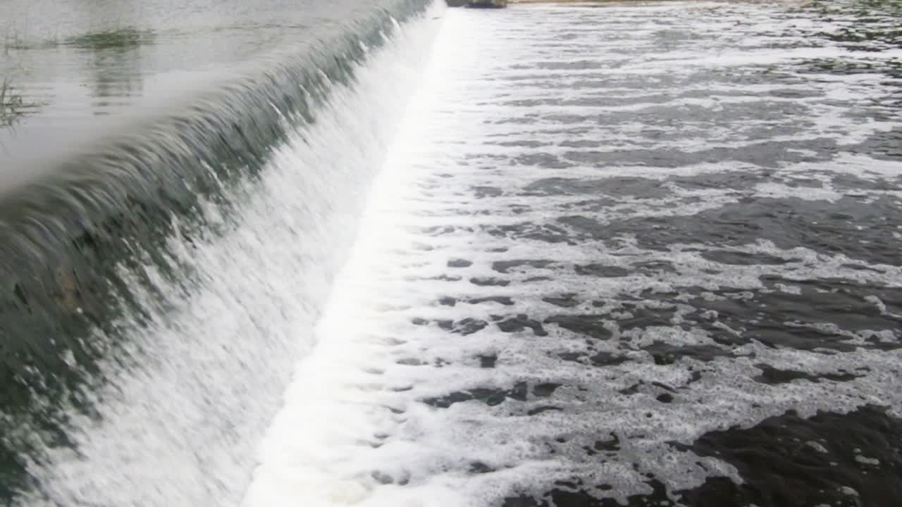 상류 이동-2에서 강둑을 뛰어 넘는 물고기