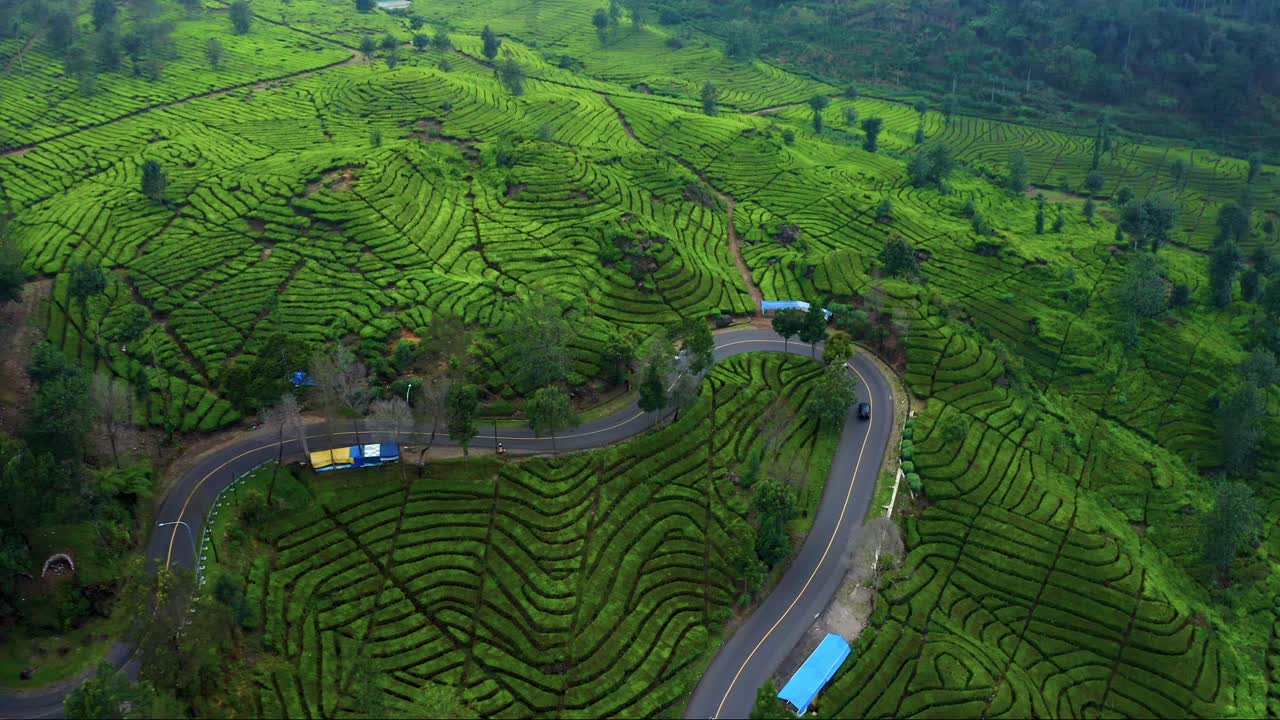 paesaggio di piantagioni di tè vicino a ciwidey bandung, java occidentale, indonesia - ripresa aerea da drone