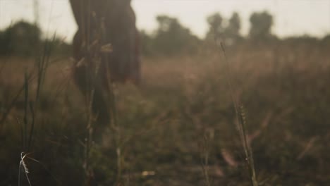 happy woman in a dress running through a field and jumping while throwing her arms in the air at sunset