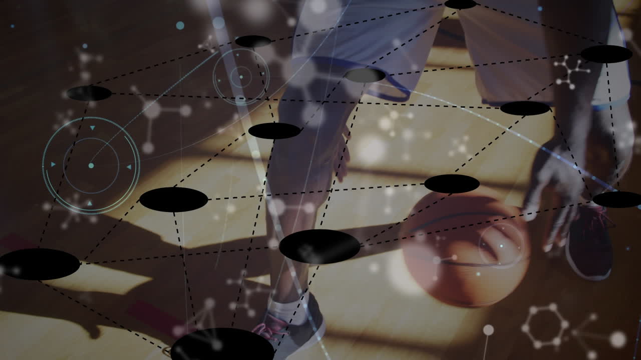 아프리카계 미국인 남자 농구 선수에 대한 연결 네트워크의 애니메이션