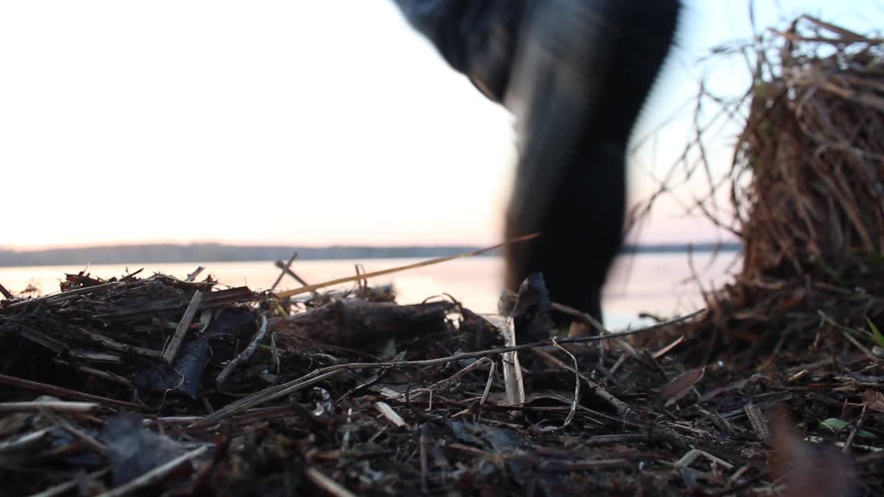 Persona che cammina lungo la riva del lago al tramonto