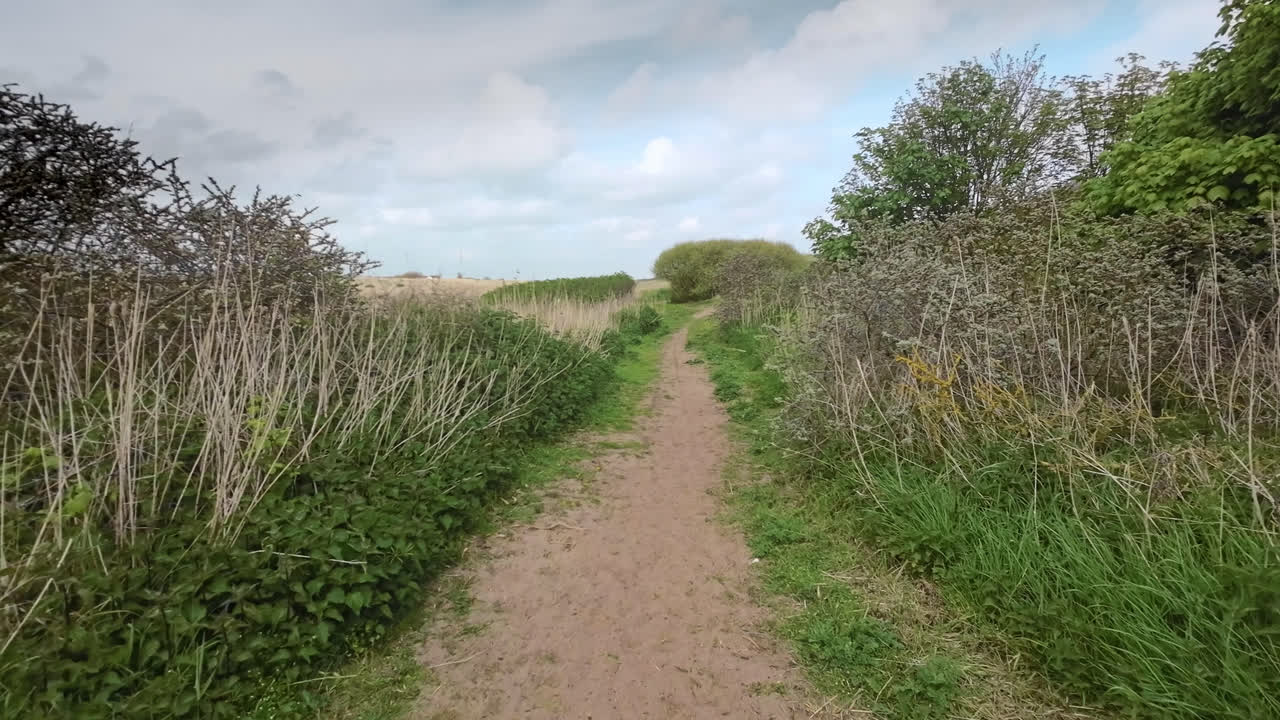 песчаная деревенская дорожка, окруженная травой, песчаными дюнами и старым деревянным забором