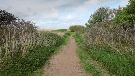 sendero de arena rodeado de hierba, dunas de arena y una vieja valla de madera