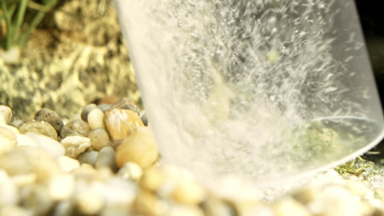 수족관 자갈 슬라이드 왼쪽을 가로질러 움직이는 진공관