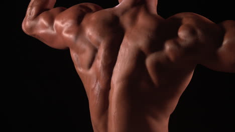 male bodybuilder flexing muscles, back view