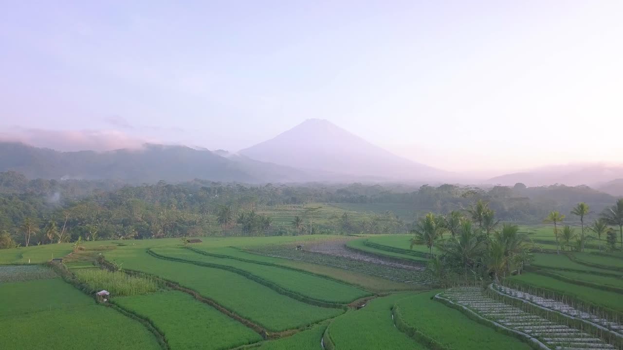 vuelo aéreo hacia adelante sobre campos de arroz agrícolas con paisajes exóticos y montañas nubladas en el fondo - hermosa mañana en java central, indonesia