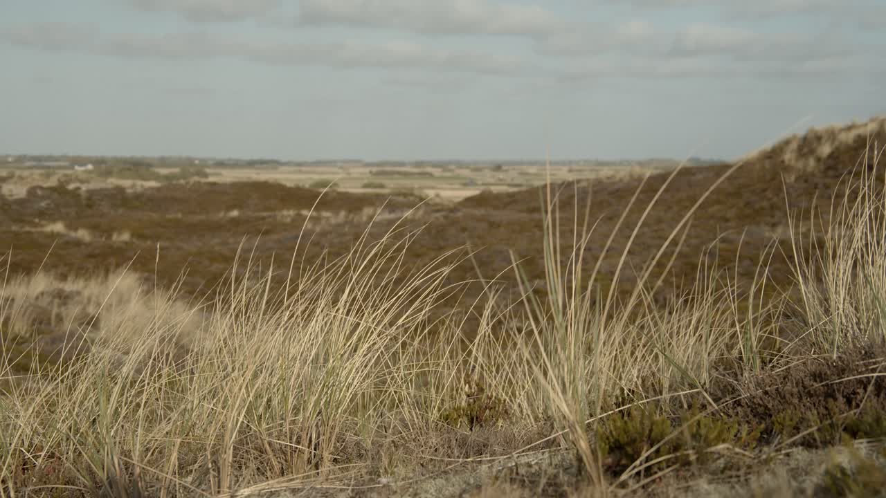실트 4k 60fps의 모래 언덕 풍경에서 움직이는 모래 잔디