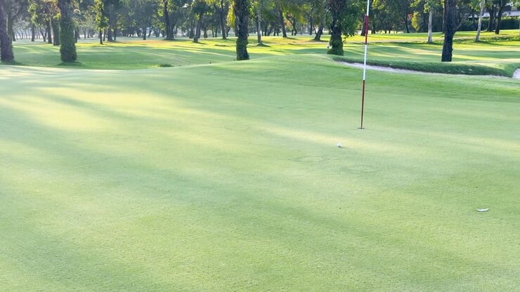 Una pallina da golf bianca rotola su un fairway verde lussureggiante sotto la brillante luce del sole mattutino.