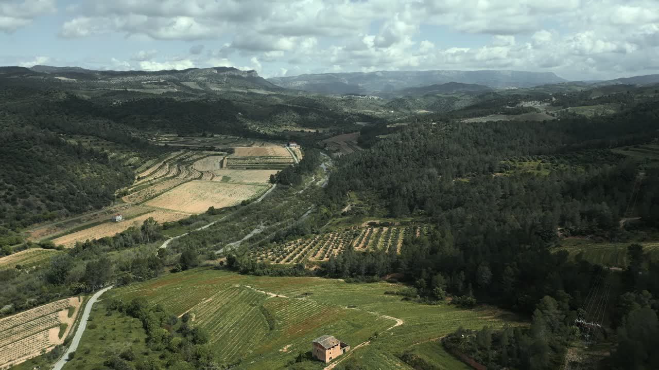 Expansive vineyard covered valley in priorat, catalonia, revealing winding river, lush forests beneath brooding cloudscape, showcasing mediterranean landscape's serene rural beauty