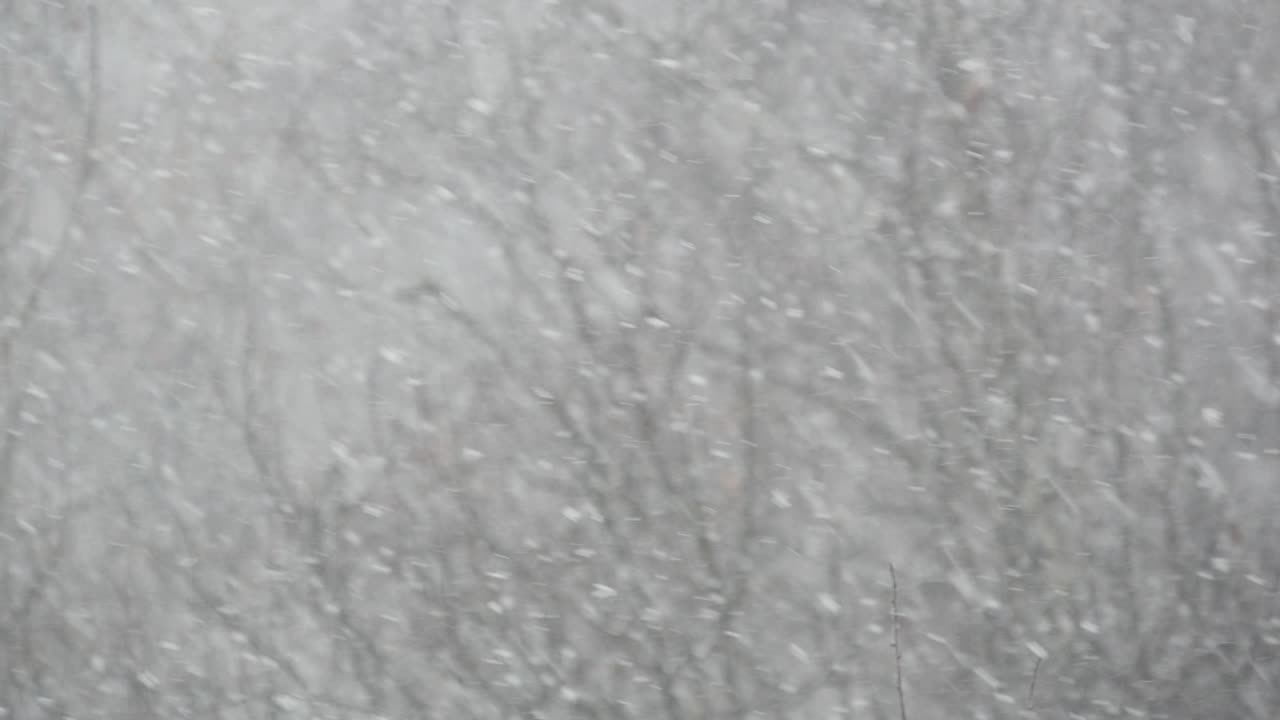 copos de nieve blancos cayendo en invierno, copos de neve de la nevada invernal de navidad.