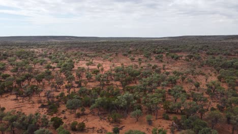 drone flying over a rugged landscape in the australian outback