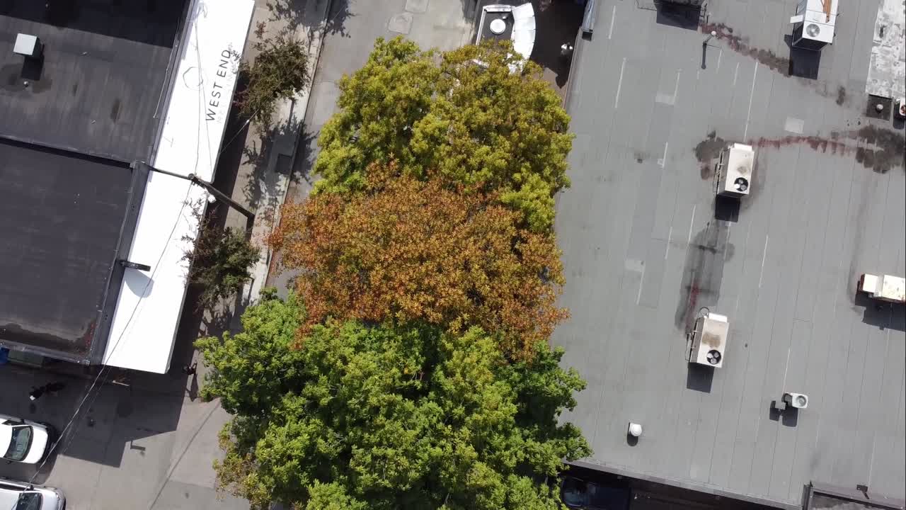 3-3BEV Aerial birds eye view 200 feet over low rise downtown Vancouver LGBTQ Gay Pride commerical residential retail community to retail shops with hardly any people out shopping on a sunny fall day