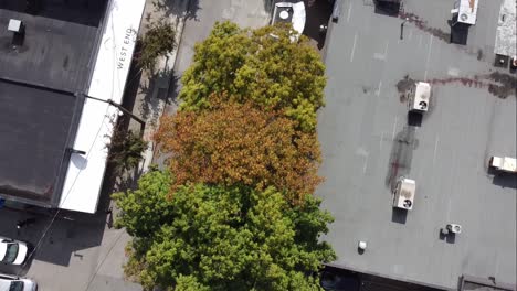 3-3bev aerial birds eye view 200 feet over low rise downtown vancouver lgbtq gay pride commerical residential retail community to retail shops with hardly any people out shopping on a sunny fall day