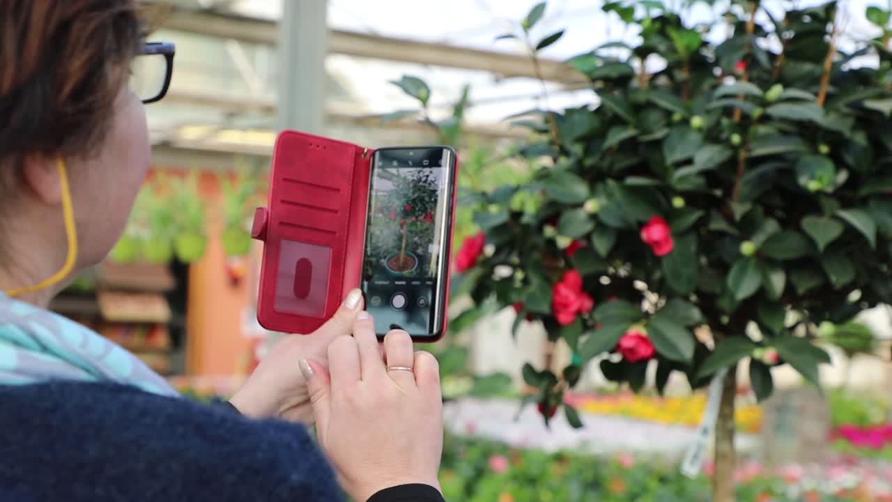 mujer con gafas azules tomando una foto de un árbol con su teléfono