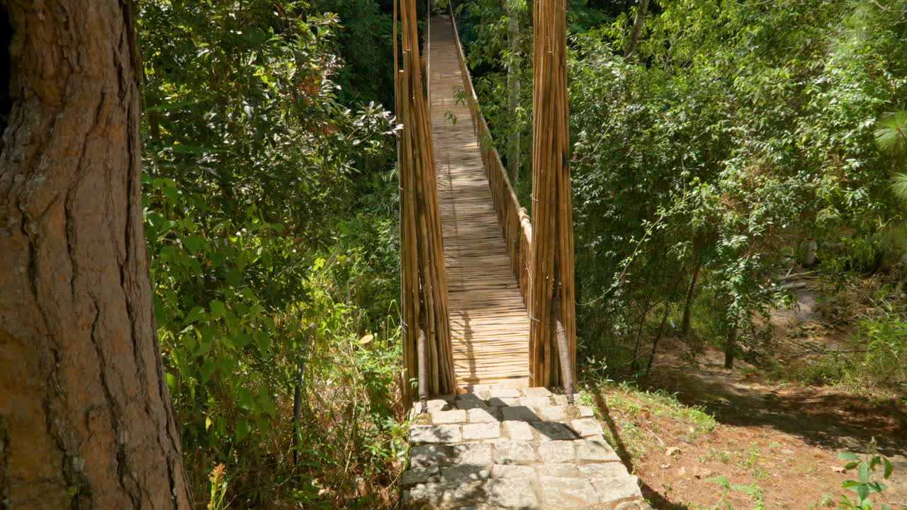 el sendero del viejo puente de bambú a través del valle del bosque en la aldea popular de cu lan, da lat, vietnam