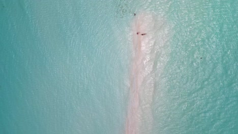 Mesmeriszing-ocean-waves-crash-and-meat-on-sandy-peak-in-tropical-ocean