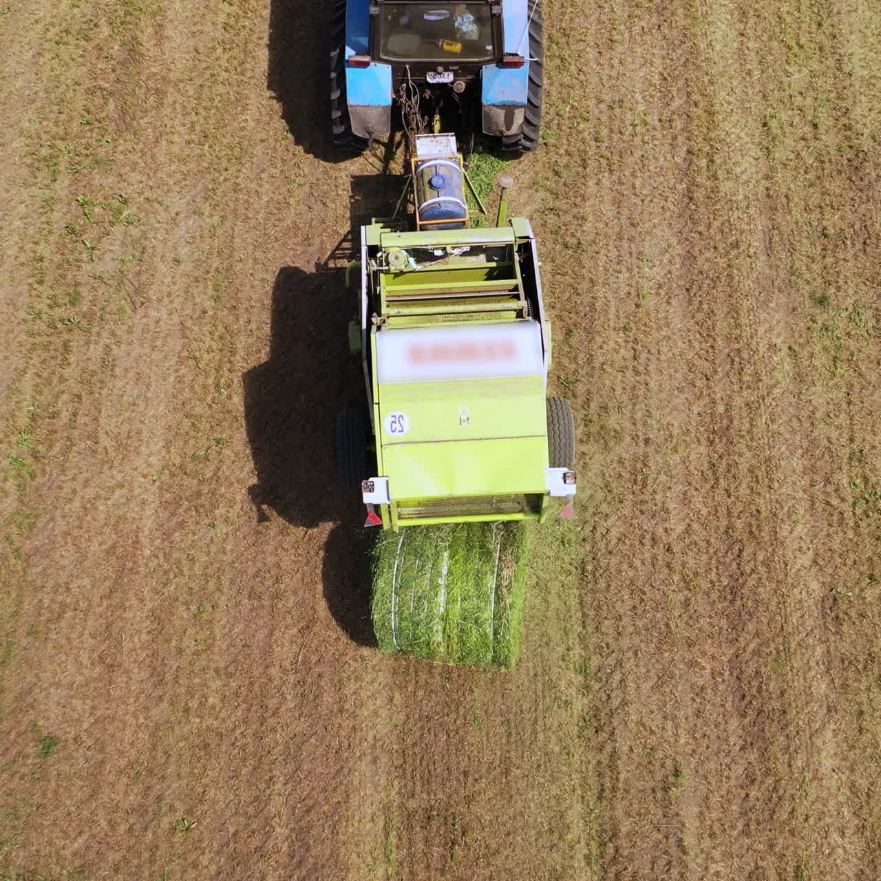 Ready grass bale comes out of a pressing machine. Agricultural machinery presses grass to make round bundle in the field. Top view.