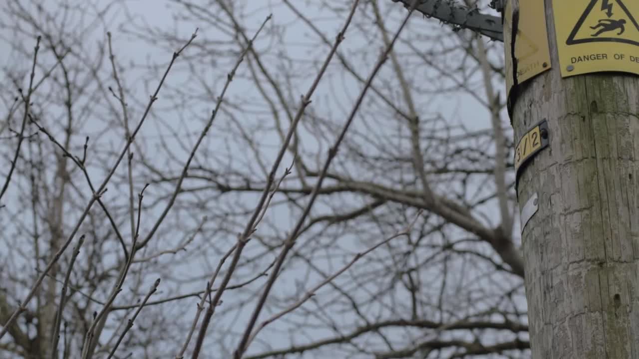 Power Pole with Danger of Death Warning Sign