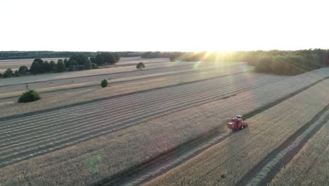 Vista-Aérea-De-La-Puesta-De-Sol-De-La-Plantación-De-Trigo-Agrícola-Con-Máquina-De-Cosecha-Trabajando-En-El-Campo-Durante-Las-Horas-Doradas