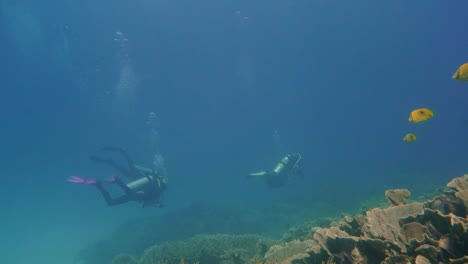 from-pristine-reefs-panning-up-to-scuba-divers-under-water