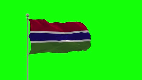 감비아의 3d 일러스트레이션은 크로마가있는 기둥에 흔들리는 발입니다.