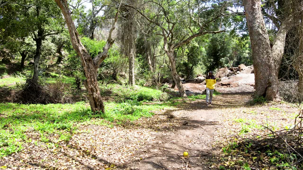 cielo de la aldea al aire libre hermoso paisaje de la aldea del bosque del paisaje aéreo - fotografía aérea del bosque rural kenia - controlador inalámbrico de drones quadcopter