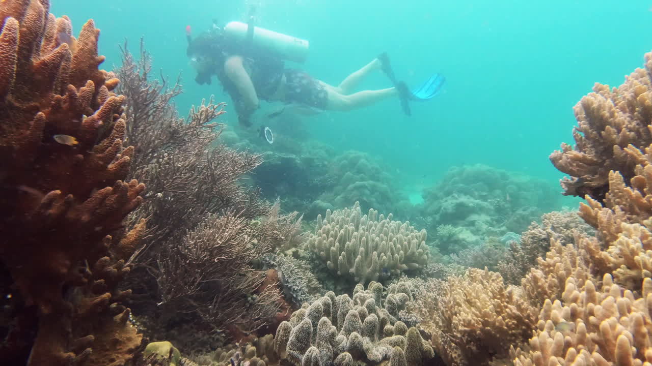 tome una inmersión conmigo