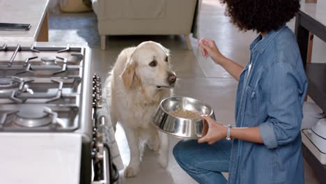 mujer biracial sirviendo comida para perros golden retriever en casa, en cámara lenta