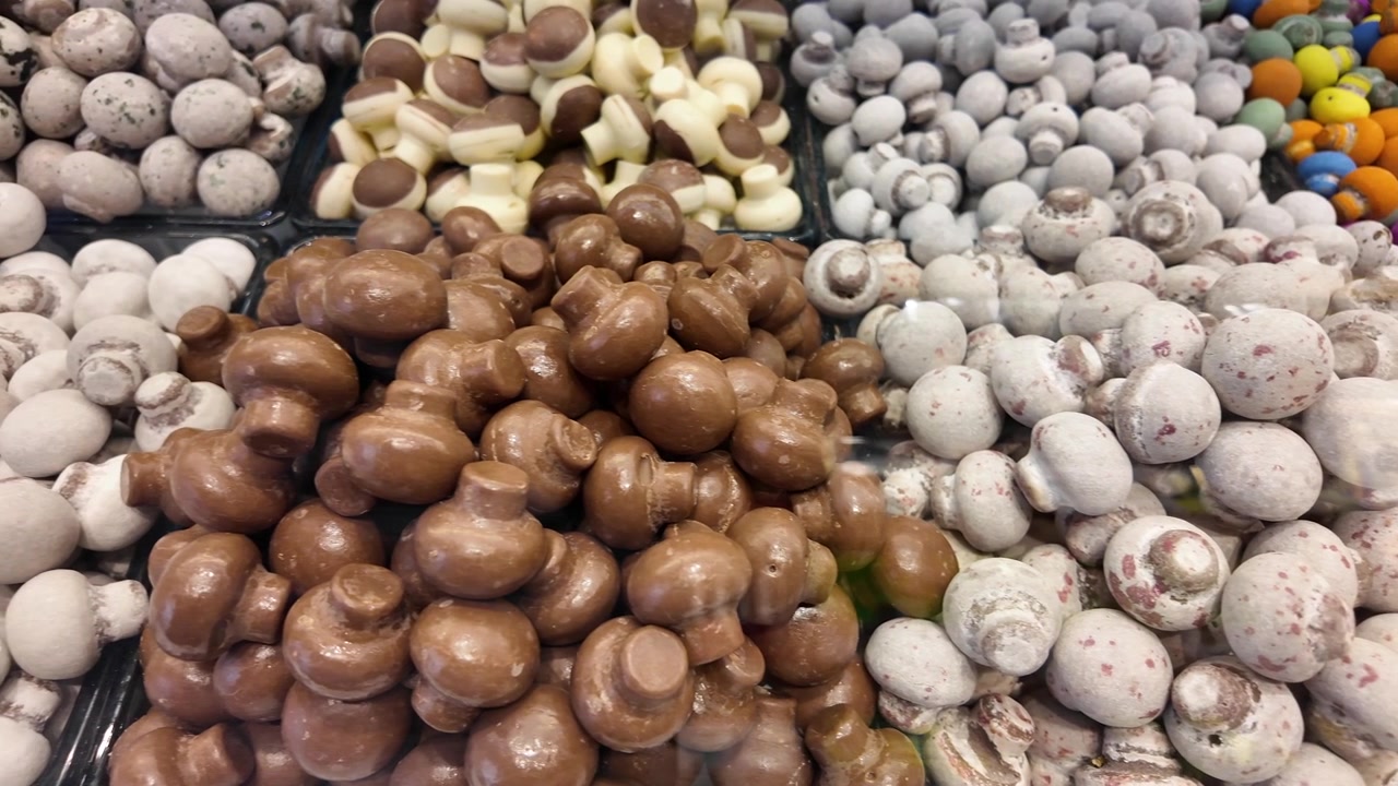 Surtido de bombones de chocolate exhibidos en una confitería