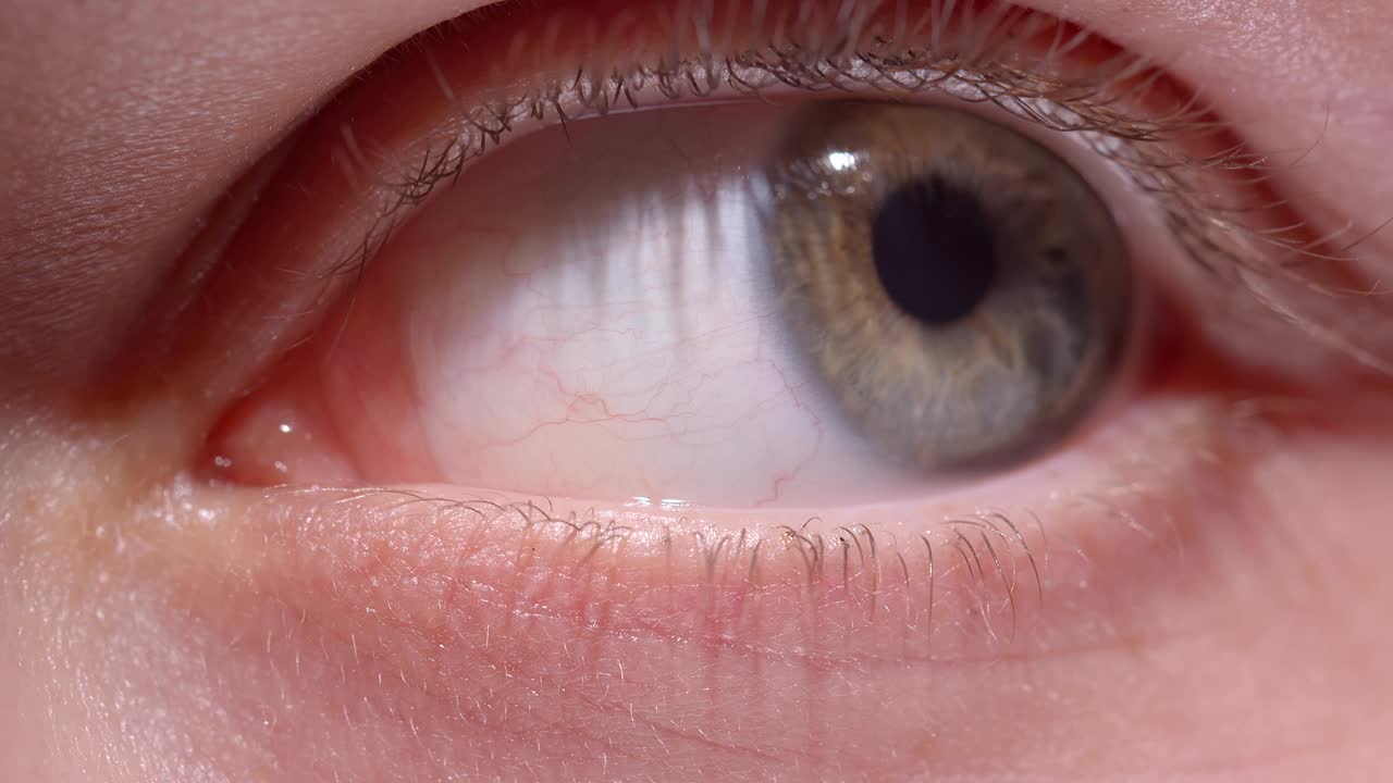 초록색 눈이 박이고 눈동자를 으로 움직여 주변을 탐구하는 클로즈업 촬영.