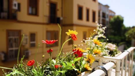 flores coloridas en un balcón soleado