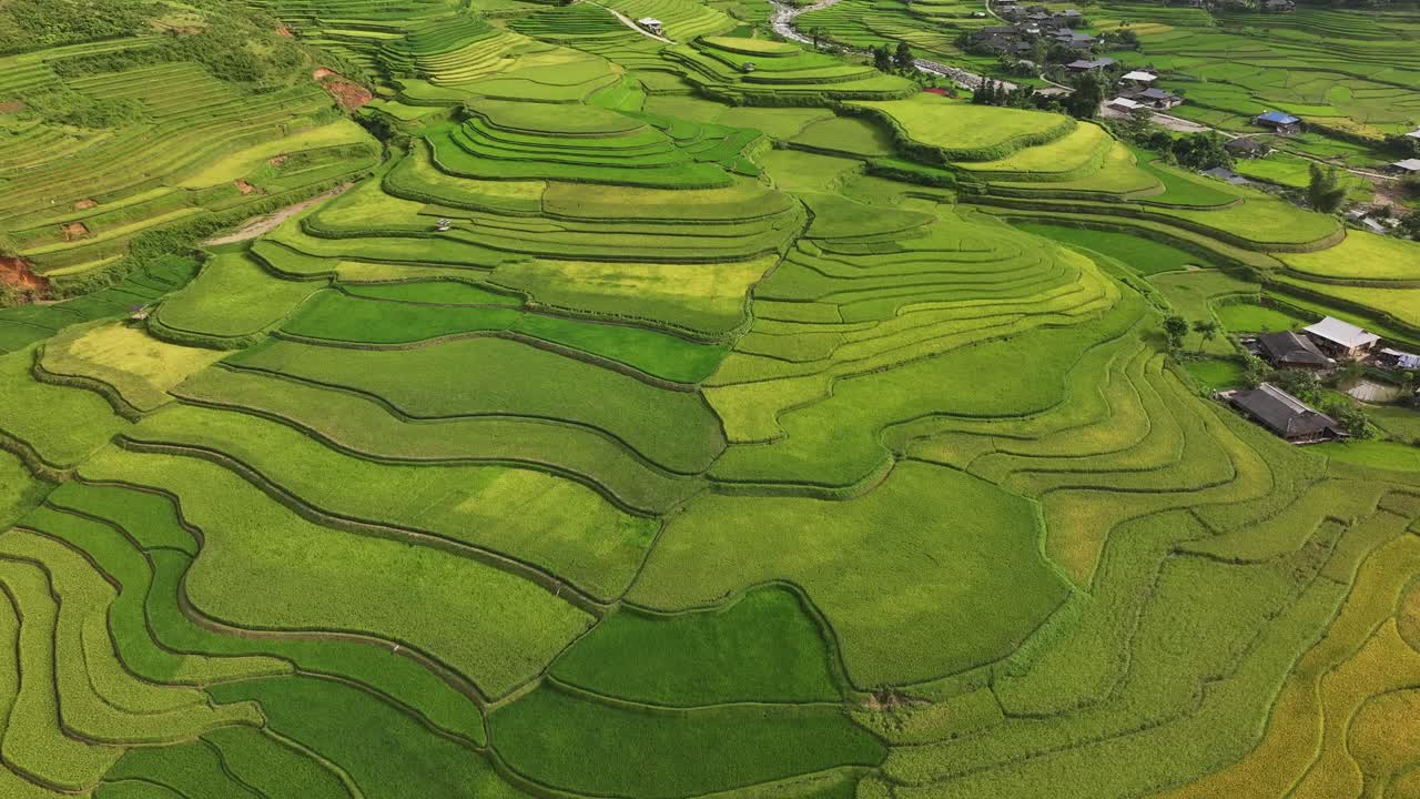 Aerial view of terrace rice field in Mu Cang Chai district, Vietnam