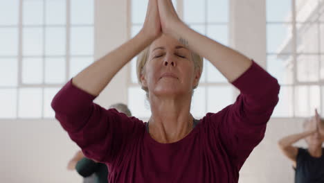 portrait yoga class beautiful old woman exercising healthy meditation practicing prayer pose enjoying group physical fitness workout in studio