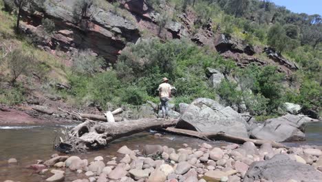 un bosquimano cruza un tronco de árbol caído sobre un río mientras hace senderismo en australia